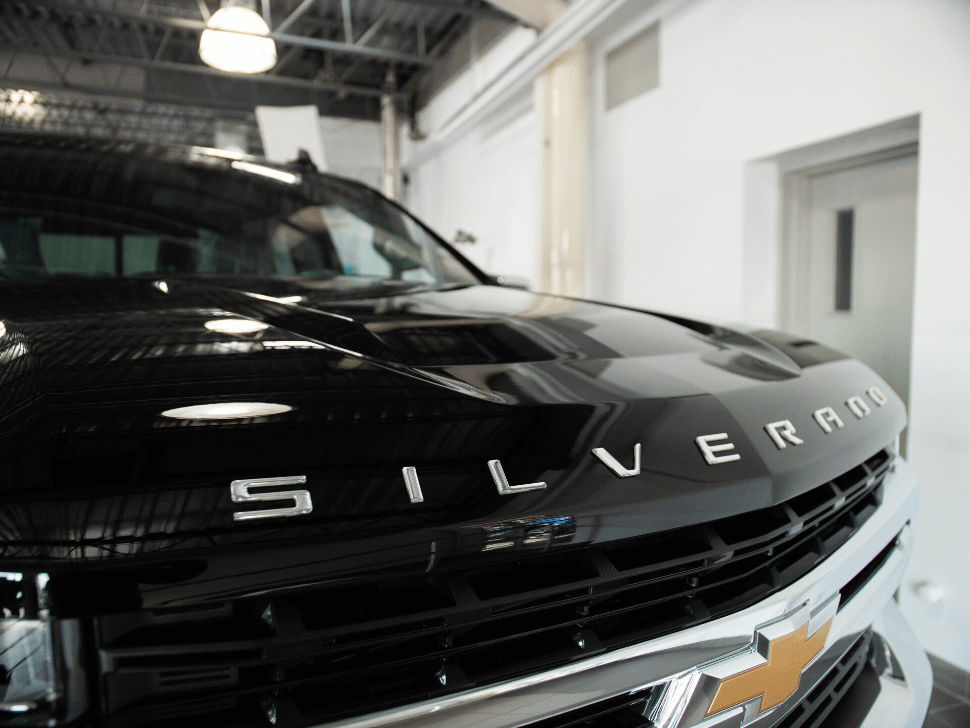 Hood & Tailgate Logos