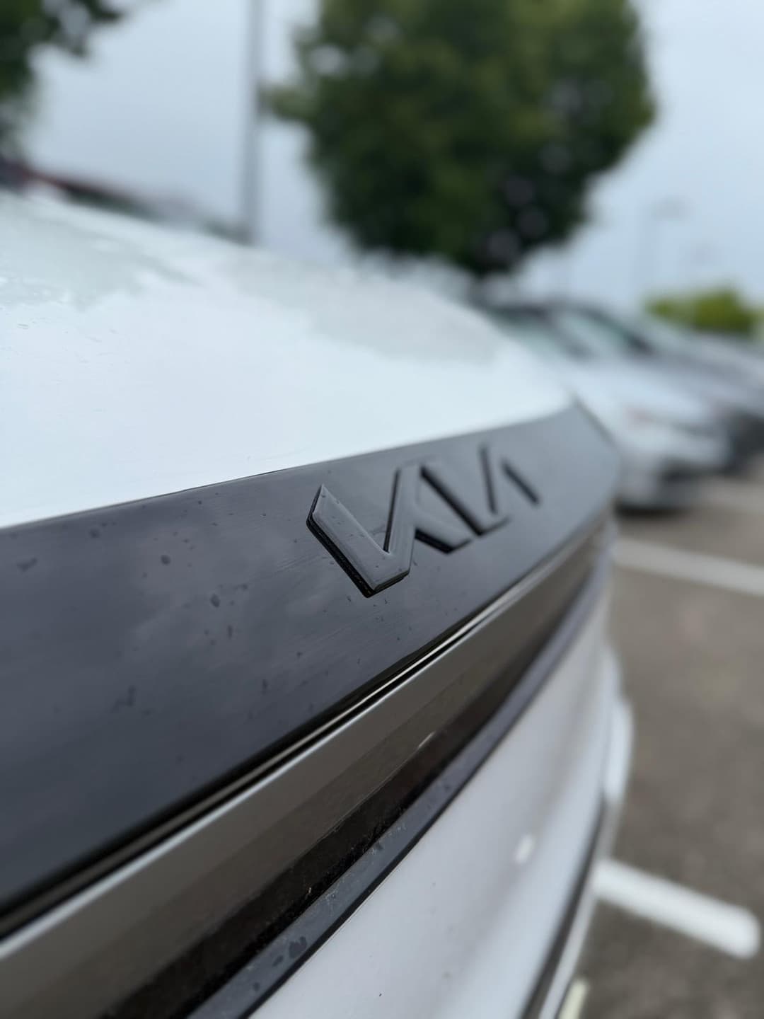 Hood Protector for 2023-2025 Kia Niro Plug-In Hybrid